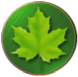 Maple Leaf